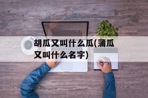 胡瓜又叫什么瓜(蒲瓜又叫什么名字)-第1张图片-