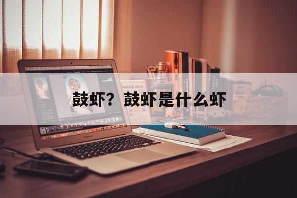 鼓虾？鼓虾是什么虾-第1张图片-