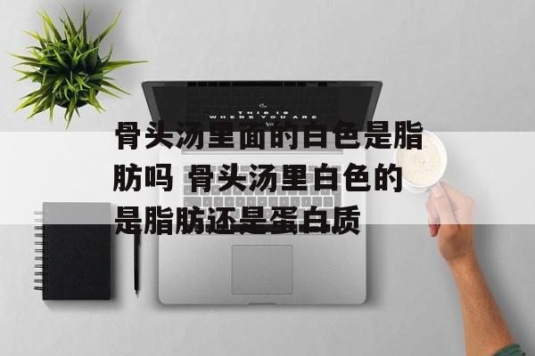 骨头汤里面的白色是脂肪吗 骨头汤里白色的是脂肪还是蛋白质-第1张图片-