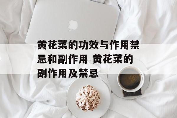 黄花菜的功效与作用禁忌和副作用 黄花菜的副作用及禁忌-第1张图片-