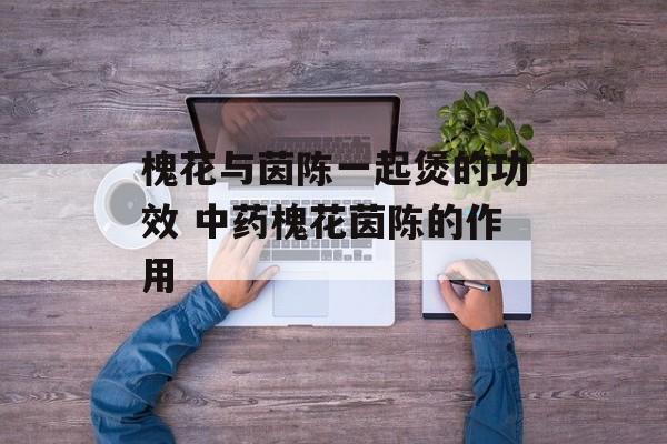 槐花与茵陈一起煲的功效 中药槐花茵陈的作用-第1张图片-