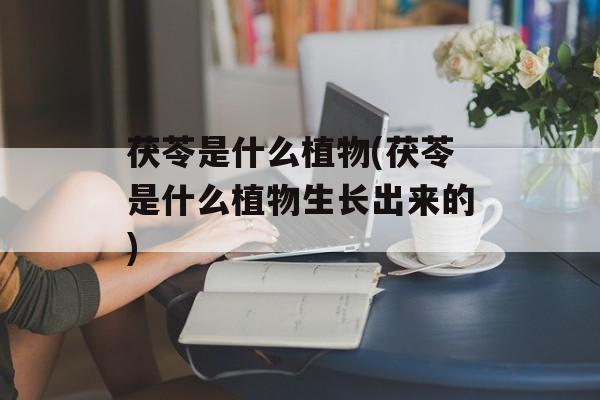茯苓是什么植物(茯苓是什么植物生长出来的)-第1张图片-