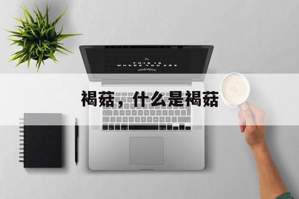 褐菇，什么是褐菇-第1张图片-