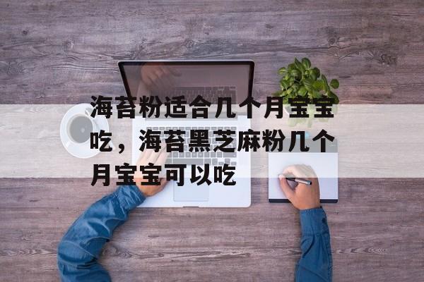 海苔粉适合几个月宝宝吃，海苔黑芝麻粉几个月宝宝可以吃-第1张图片-