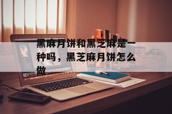 黑麻月饼和黑芝麻是一种吗，黑芝麻月饼怎么做-第1张图片-