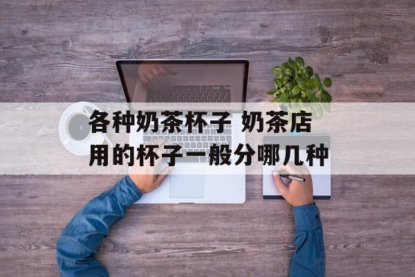 各种奶茶杯子 奶茶店用的杯子一般分哪几种-第1张图片-