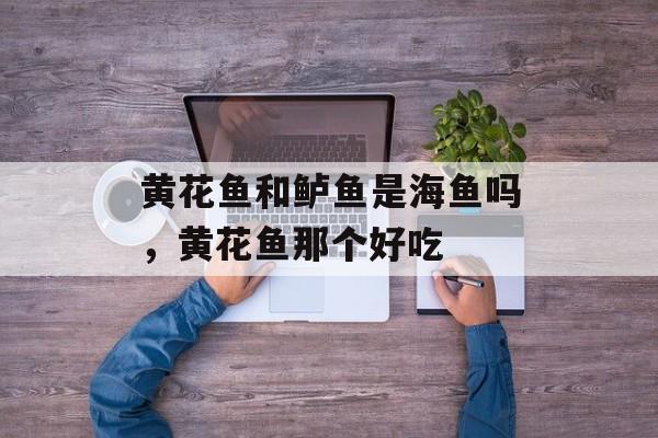 黄花鱼和鲈鱼是海鱼吗，黄花鱼那个好吃-第1张图片-