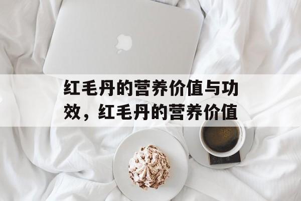 红毛丹的营养价值与功效，红毛丹的营养价值-第1张图片-