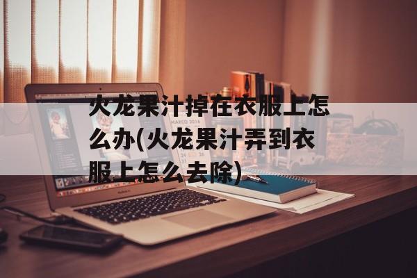 火龙果汁掉在衣服上怎么办(火龙果汁弄到衣服上怎么去除)-第1张图片-