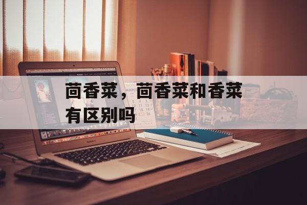 茴香菜，茴香菜和香菜有区别吗-第1张图片-