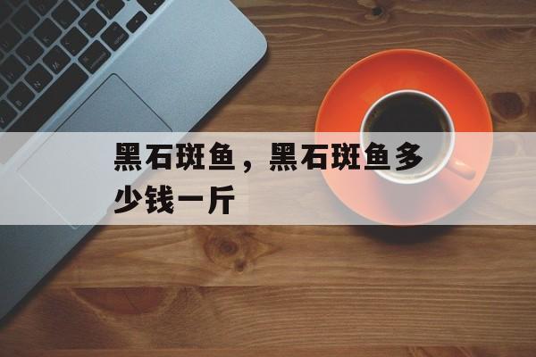 黑石斑鱼，黑石斑鱼多少钱一斤-第1张图片-