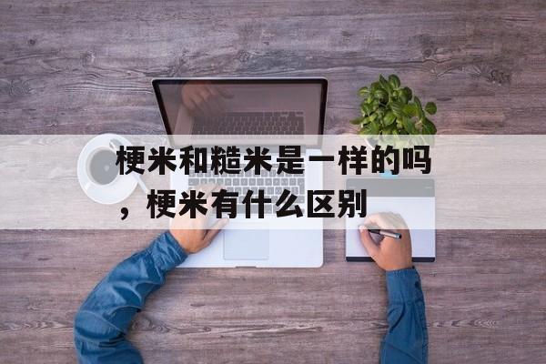 梗米和糙米是一样的吗，梗米有什么区别-第1张图片-