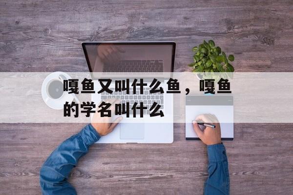 嘎鱼又叫什么鱼，嘎鱼的学名叫什么-第1张图片-