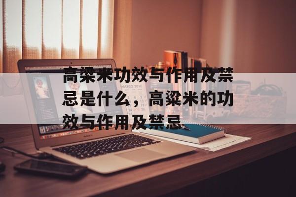 高梁米功效与作用及禁忌是什么，高粱米的功效与作用及禁忌-第1张图片-