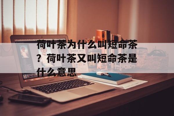 荷叶茶为什么叫短命茶？荷叶茶又叫短命茶是什么意思-第1张图片-