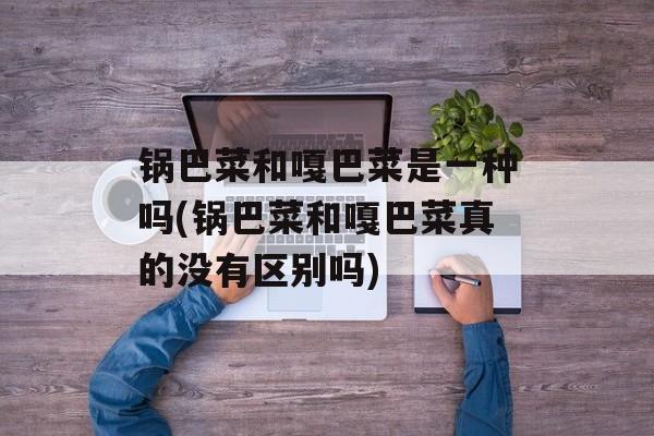 锅巴菜和嘎巴菜是一种吗(锅巴菜和嘎巴菜真的没有区别吗)-第1张图片-