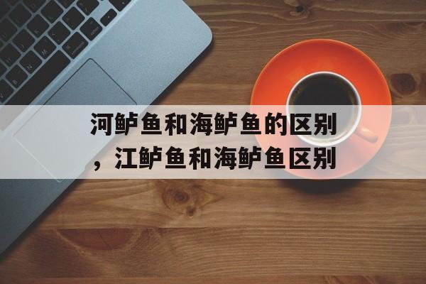 河鲈鱼和海鲈鱼的区别，江鲈鱼和海鲈鱼区别-第1张图片-