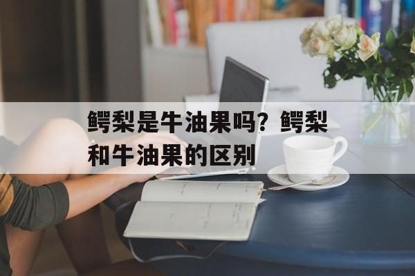 鳄梨是牛油果吗？鳄梨和牛油果的区别-第1张图片-