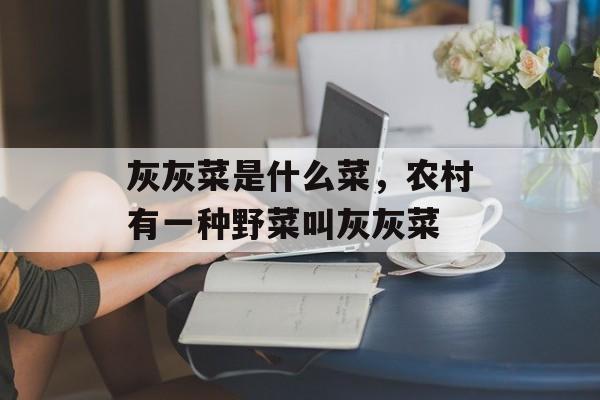 灰灰菜是什么菜，农村有一种野菜叫灰灰菜-第1张图片-