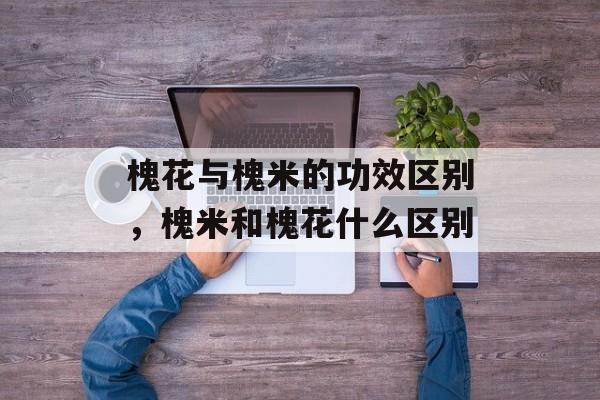 槐花与槐米的功效区别，槐米和槐花什么区别-第1张图片-