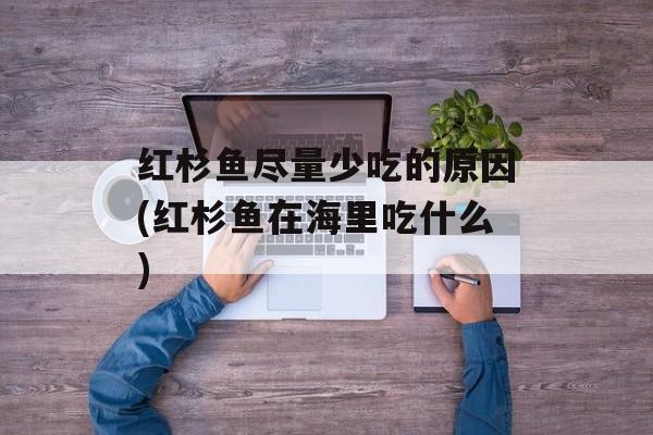 红杉鱼尽量少吃的原因(红杉鱼在海里吃什么)-第1张图片-