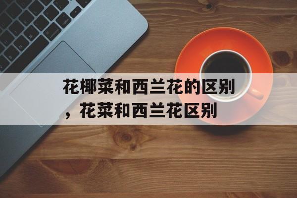 花椰菜和西兰花的区别，花菜和西兰花区别-第1张图片-
