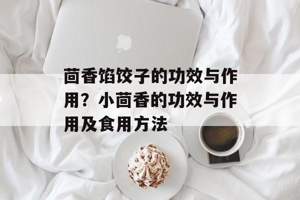 茴香馅饺子的功效与作用？小茴香的功效与作用及食用方法-第1张图片-