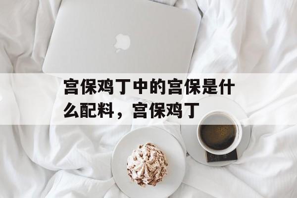 宫保鸡丁中的宫保是什么配料，宫保鸡丁-第1张图片-
