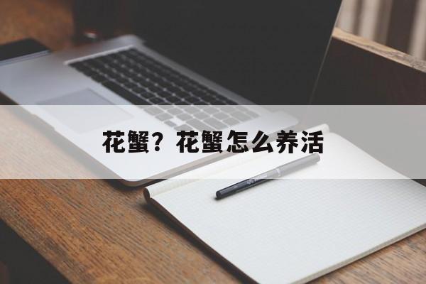 花蟹？花蟹怎么养活-第1张图片-