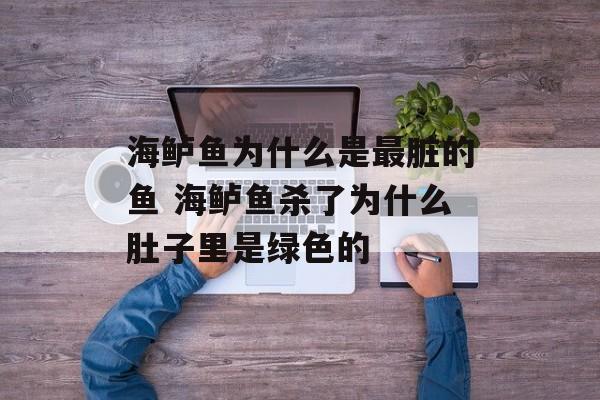 海鲈鱼为什么是最脏的鱼 海鲈鱼杀了为什么肚子里是绿色的-第1张图片-