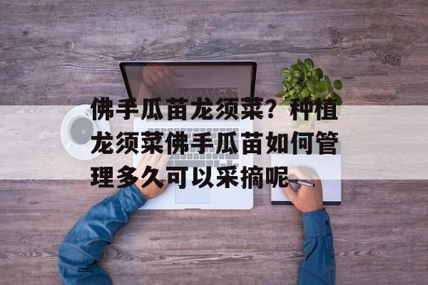 佛手瓜苗龙须菜？种植龙须菜佛手瓜苗如何管理多久可以采摘呢-第1张图片-