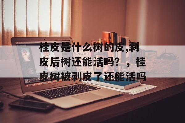 桂皮是什么树的皮,剥皮后树还能活吗？，桂皮树被剥皮了还能活吗-第1张图片-