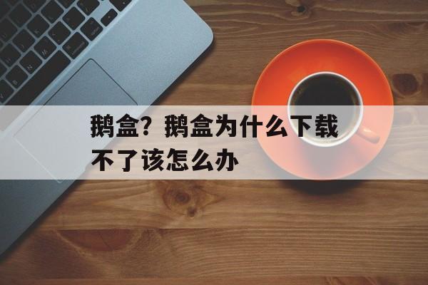 鹅盒？鹅盒为什么下载不了该怎么办-第1张图片-