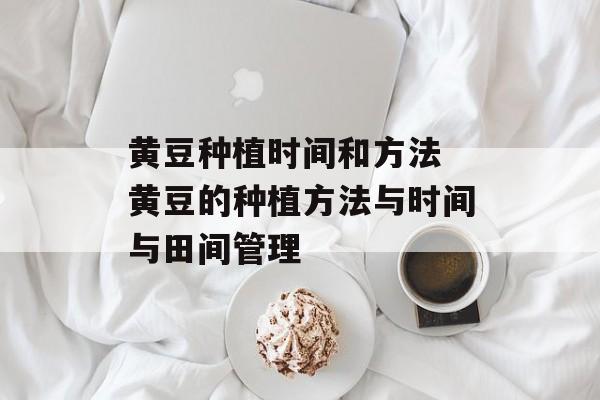 黄豆种植时间和方法 黄豆的种植方法与时间与田间管理-第1张图片-