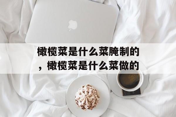 橄榄菜是什么菜腌制的，橄榄菜是什么菜做的-第1张图片-