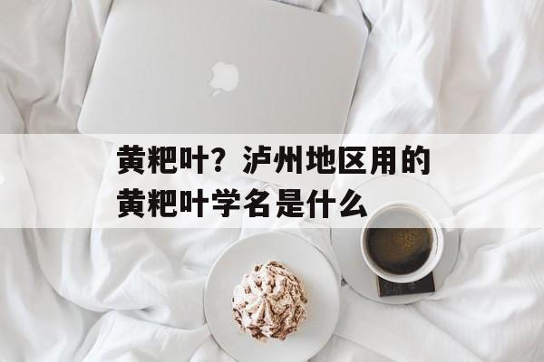 黄粑叶？泸州地区用的黄粑叶学名是什么-第1张图片-