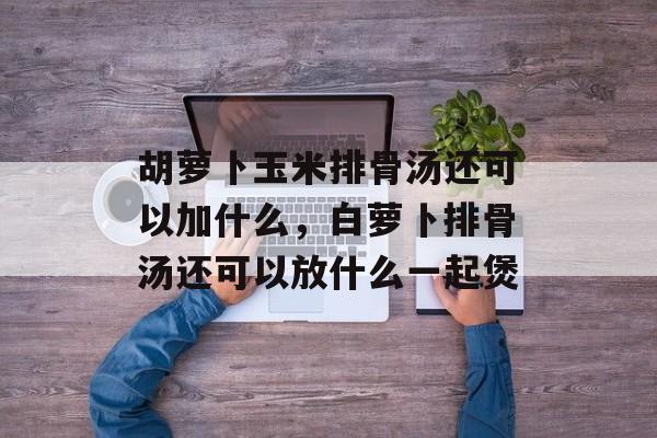 胡萝卜玉米排骨汤还可以加什么，白萝卜排骨汤还可以放什么一起煲-第1张图片-