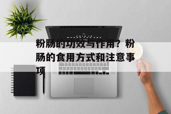 粉肠的功效与作用？粉肠的食用方式和注意事项-第1张图片-