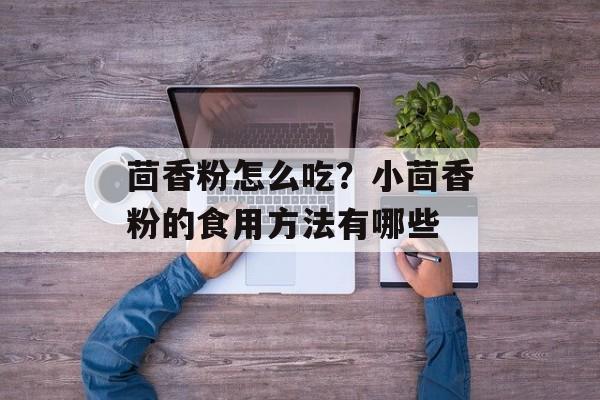 茴香粉怎么吃？小茴香粉的食用方法有哪些-第1张图片-