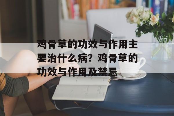 鸡骨草的功效与作用主要治什么病？鸡骨草的功效与作用及禁忌-第1张图片-