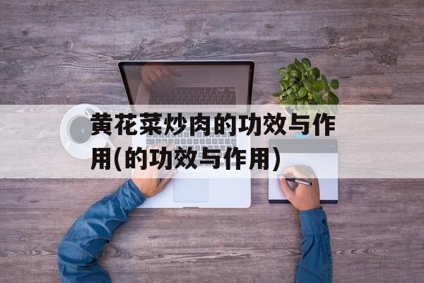 黄花菜炒肉的功效与作用(的功效与作用)-第1张图片-