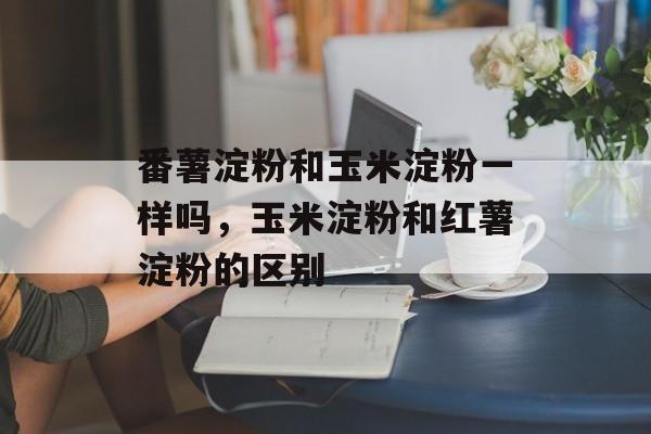 番薯淀粉和玉米淀粉一样吗，玉米淀粉和红薯淀粉的区别-第1张图片-