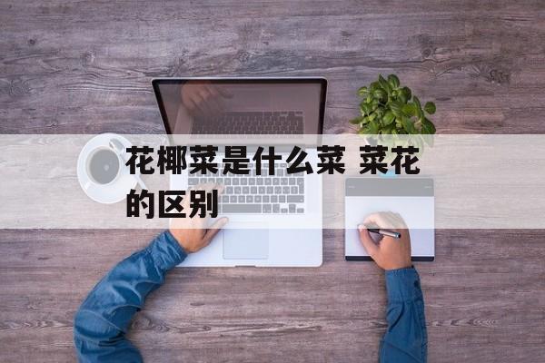 花椰菜是什么菜 菜花的区别-第1张图片-
