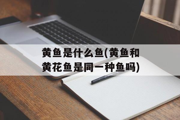 黄鱼是什么鱼(黄鱼和黄花鱼是同一种鱼吗)-第1张图片-