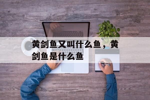 黄剑鱼又叫什么鱼，黄剑鱼是什么鱼-第1张图片-