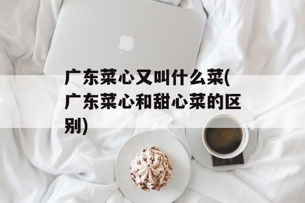 广东菜心又叫什么菜(广东菜心和甜心菜的区别)-第1张图片-