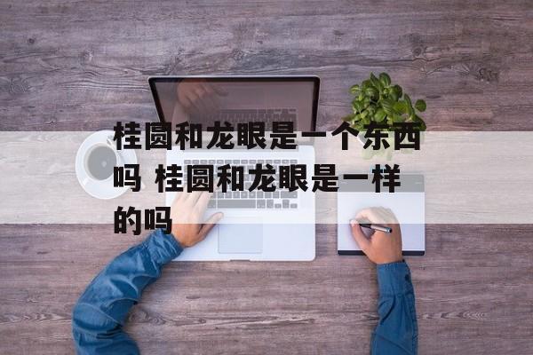 桂圆和龙眼是一个东西吗 桂圆和龙眼是一样的吗-第1张图片-
