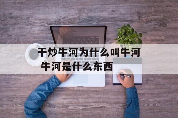 干炒牛河为什么叫牛河 牛河是什么东西-第1张图片-
