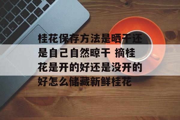 桂花保存方法是晒干还是自己自然晾干 摘桂花是开的好还是没开的好怎么储藏新鲜桂花-第1张图片-
