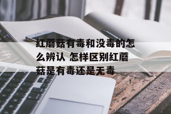 红蘑菇有毒和没毒的怎么辨认 怎样区别红蘑菇是有毒还是无毒-第1张图片-